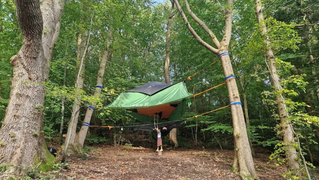 Buzzard Tent