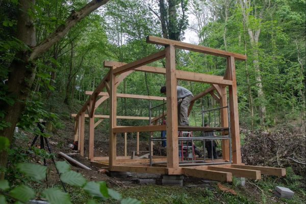 Larch: The best Outdoor Timber and Why