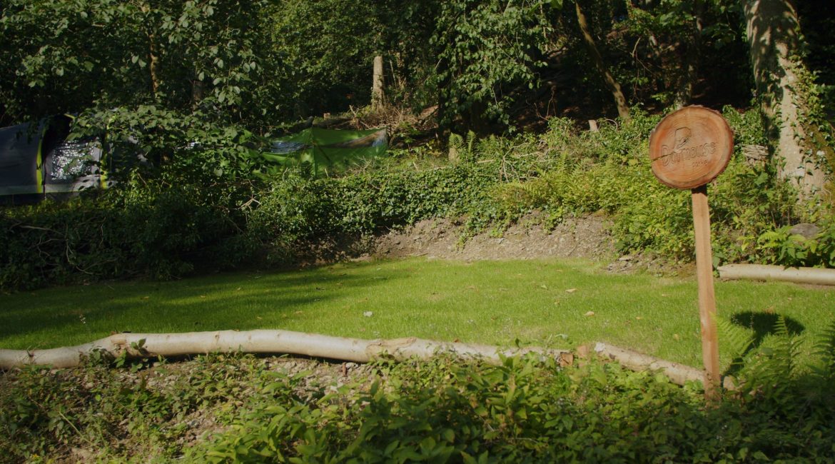 DORMOUSE_pitch